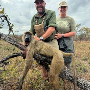 Baboon Hunt Tanzania