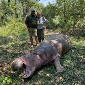 Hippo Hunt Tanzania