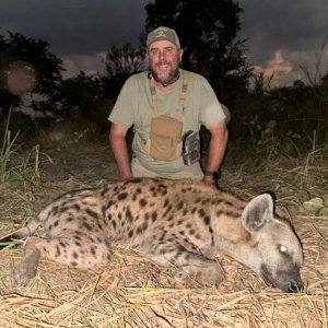 Spotted Hyena Hunt Tanzania