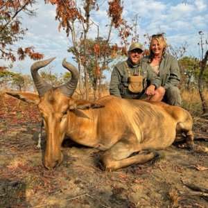 Lichtenstein's Hartebeest Hunt Tanzania