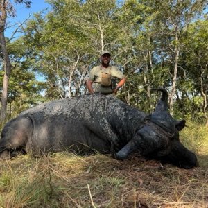 Buffalo Hunt Tanzania