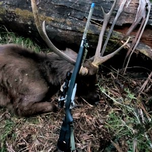 Backpack Sambar Stag Hunt Australia