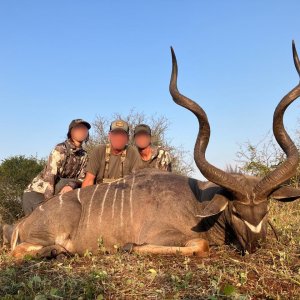 Kudu Hunting KwaZulu-Natal South Africa