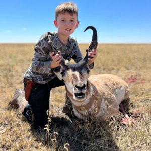 Pronghorn Hunt Clayton New Mexico