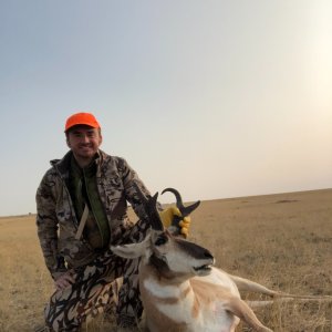 Pronghorn Hunt Wyoming