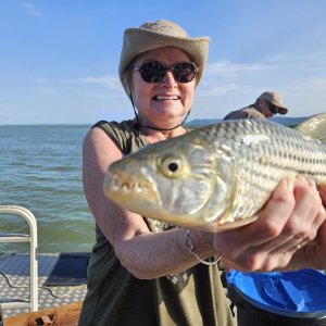 Fishing for Tiger Fish KwaZulu-Natal South Africa