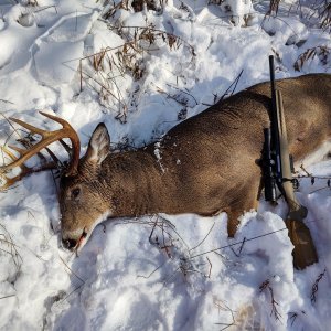 Ruger American in 7.62x39 Rifle