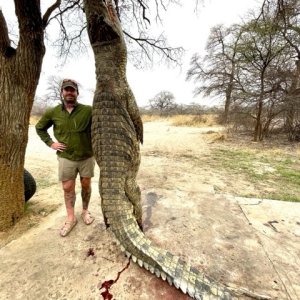 15.2 Feet Crocodile Hunt Caprivi Namibia