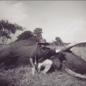 Media 'Elephant Hunting' in category 'Hunting Africa'