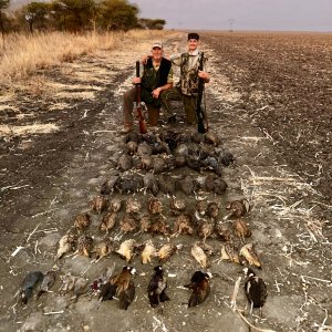 Bird Hunting South Africa