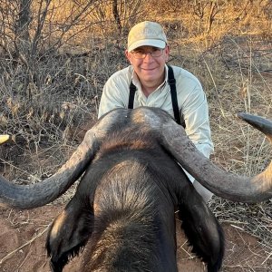 Buffalo Cow Hunt South Africa