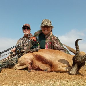 Springbuck Bow Hunt South Africa