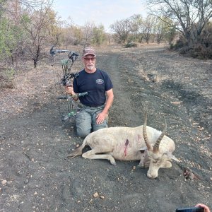 Blesbok Bow Hunt South Africa