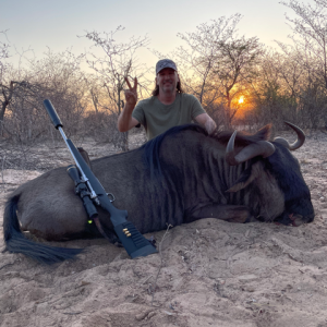 Blue Wildebeest Hunt Botswana