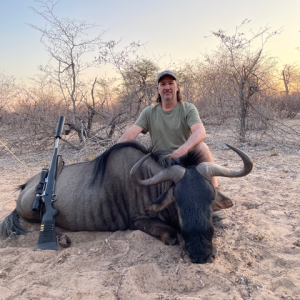 Blue Wildebeest Hunt Botswana