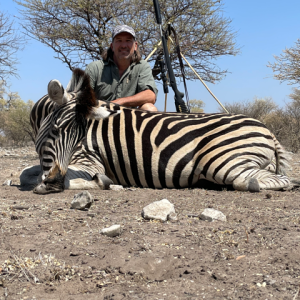 Zebra Hunt Botswana