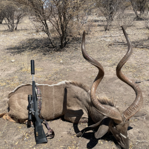 Kudu Hunt Botswana