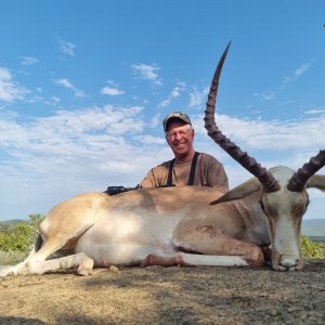 Impala Hunt Eastern Cape of South Africa