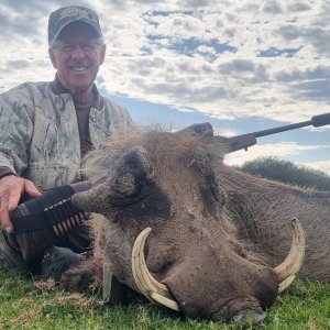 Warthog Hunt Eastern Cape of South Africa