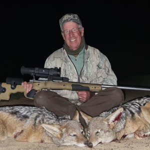 Jackal Hunt Eastern Cape of South Africa