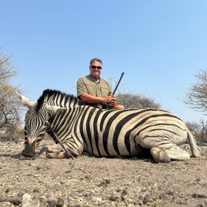 Zebra Hunt Botswana