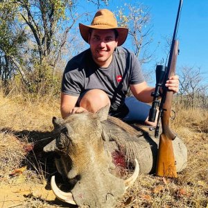 Warthog Hunt Limpopo South Africa