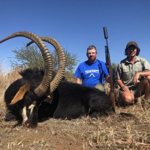 Sable Hunt Limpopo South Africa