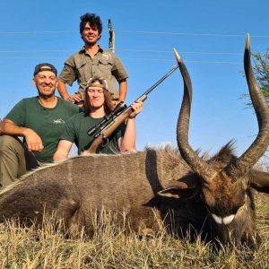 Nyala Hunt Limpopo South Africa