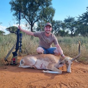 Impala Hunt Limpopo South Africa