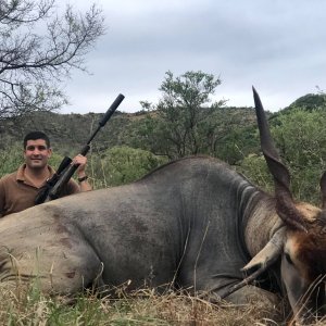 Eland Hunt Limpopo South Africa