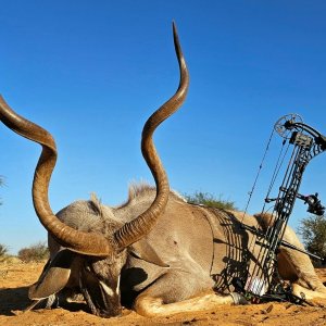 Kudu Bow Hunting Kalahari South Africa