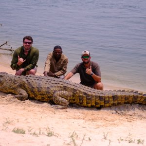 Crocodile Hunt Caprivi Namibia