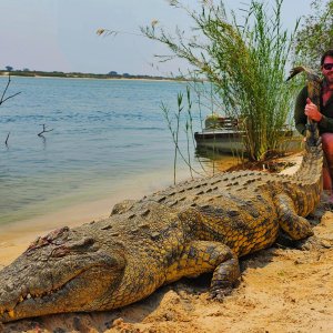 Media 'Crocodile Hunt Caprivi Namibia' in category 'Hunting Africa'