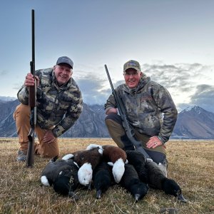 Bird Hunting New Zealand