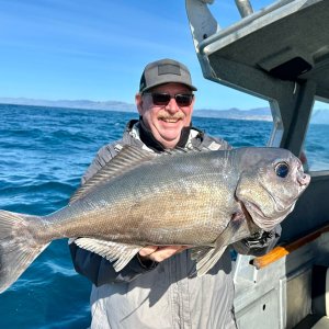 Fishing New Zealand