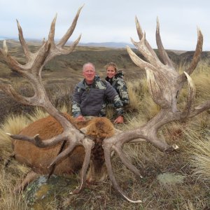 Red Stag Hunt New Zealand