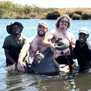 Hippo Hunt Namibia