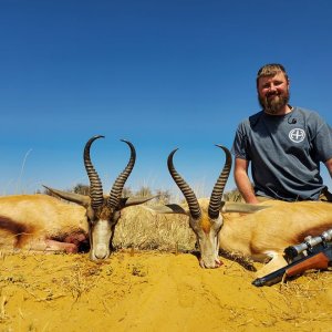 Springbok Hunt South Africa