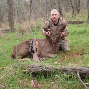 Sambar Deer Hunt Australia