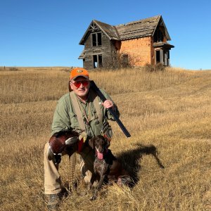 Pheasant Hunting