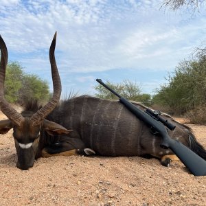 Media 'Nyala Hunt South Africa' in category 'Hunting Africa'