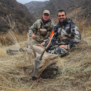 Siberian Roe Deer Hunt Kazakhstan