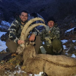 Ibex Hunt Kazakhstan