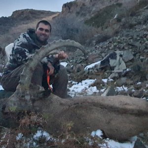 Ibex Hunt Kazakhstan