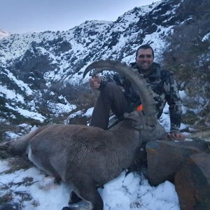 Ibex Hunt Kazakhstan