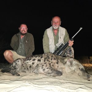 Spotted Hyena Hunt Botswana