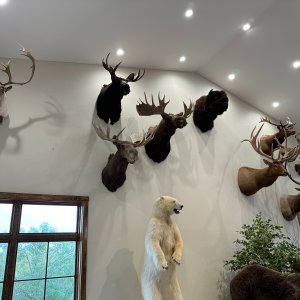 Trophy Room