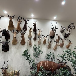 Trophy Room