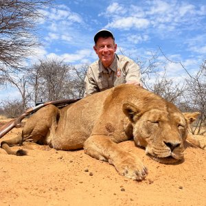 Lioness Hunt South Africa