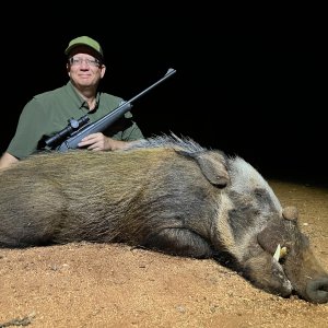 Bushpig Hunt South Africa